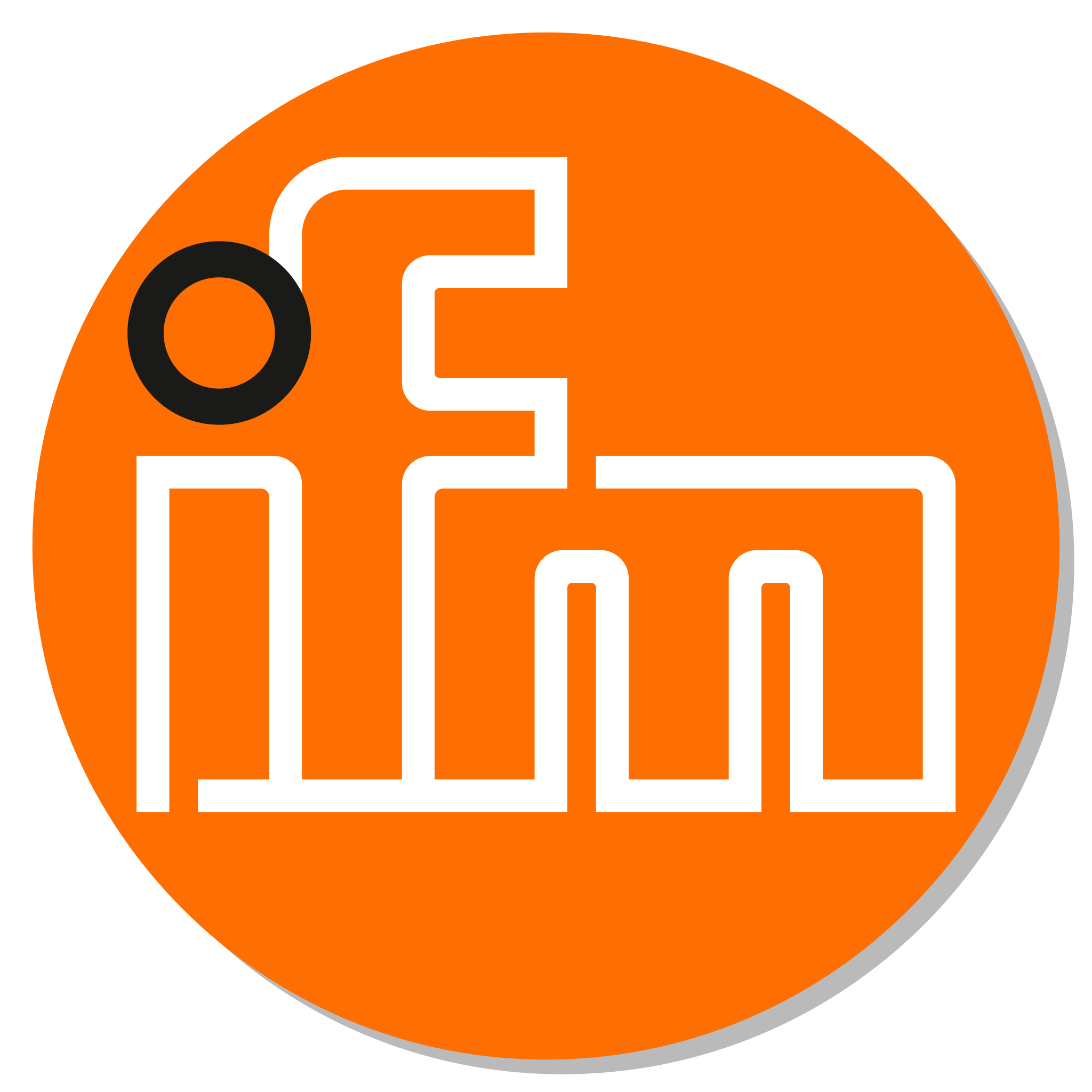 IFM logo